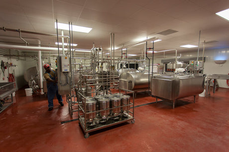 dairy processing facility with numerous hygienic fittings