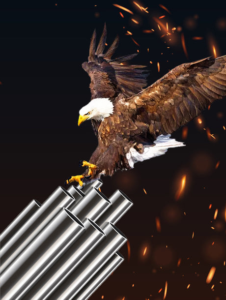 The Spirit of the Eagle, The Soul of Stainless Steel: A Symbol of Strength and Freedom